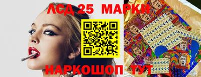 гашик Берёзовский