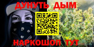 гашик Берёзовский