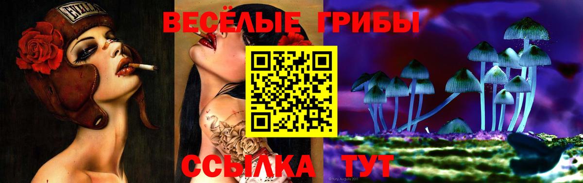 Псилоцибиновые грибы MAGIC MUSHROOMS  Вход с VPN  Клинцы 